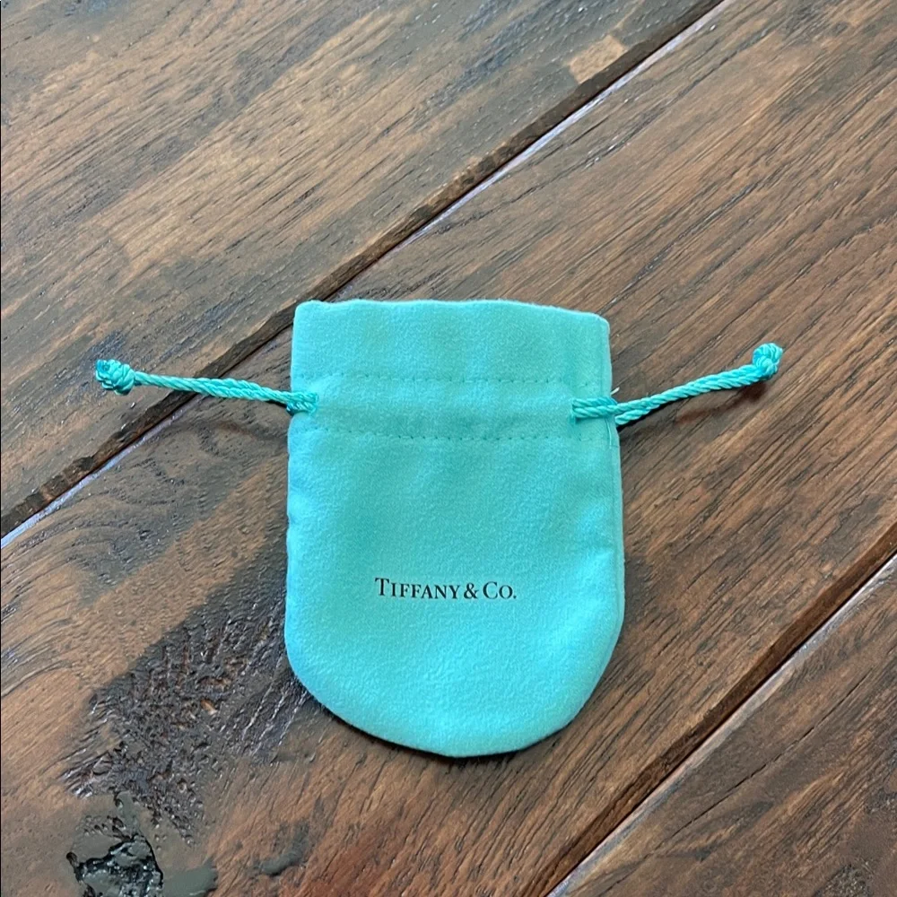 Tiffany Shopping Bag, Jewelry Bag, Blue Box & Envelope - NWT - Picture 9 of 11